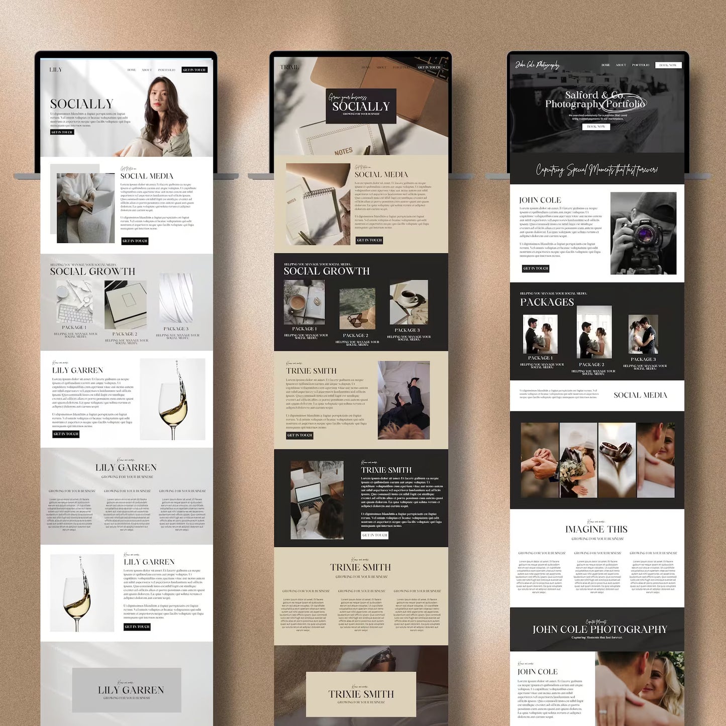 16 PLR Website Templates with Resell Rights