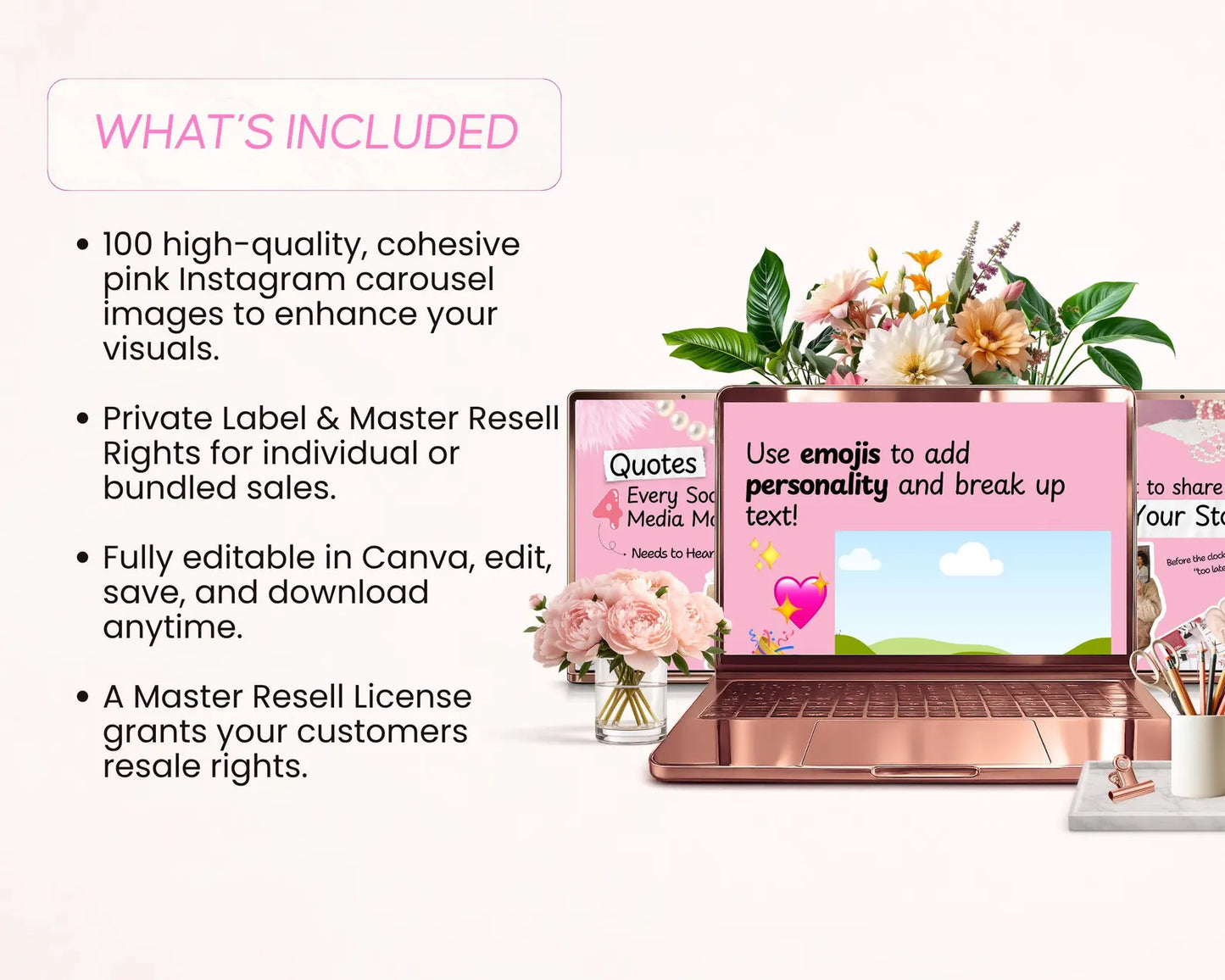 100 Pink Instagram Carousel Templates |PLR & MRR Rights