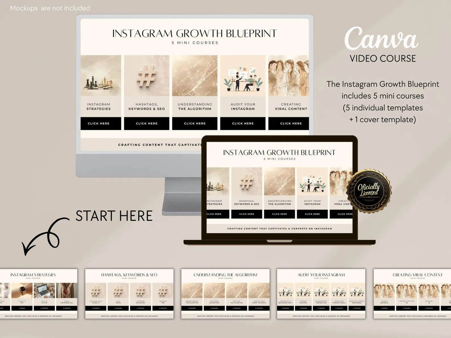12 Ready-Made Video Courses with Resell Rights+ 17 Canva Templates