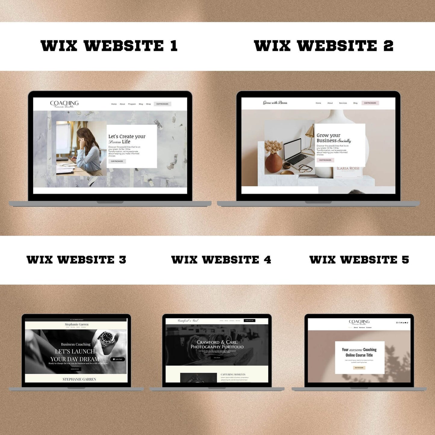 16 PLR Website Templates with Resell Rights
