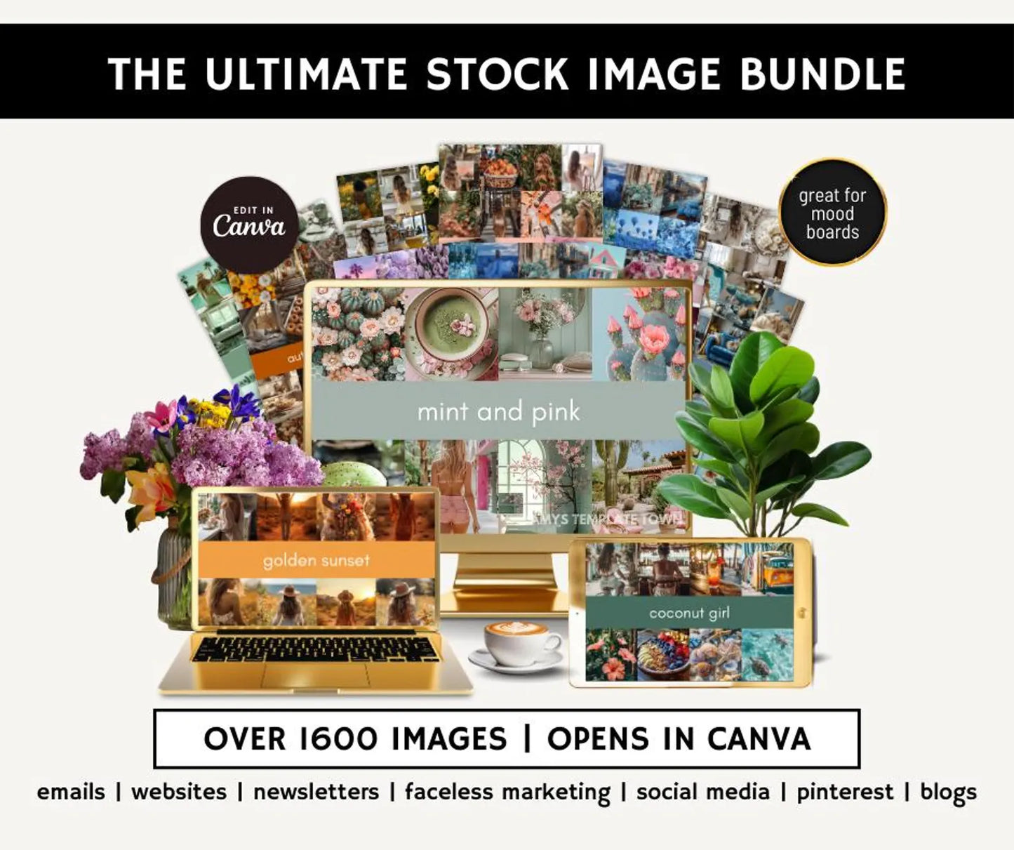 1600+ Stock Images Mega Bundle | 15 Aesthetic Collections + Bonuses (MRR & PLR)