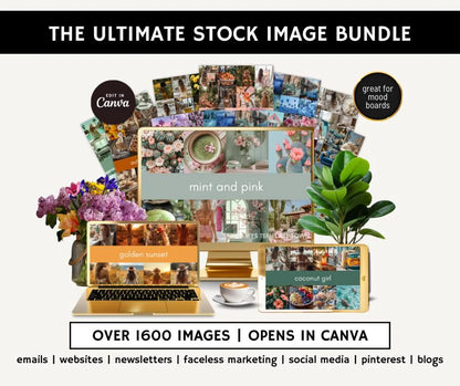 1600+ Stock Images Mega Bundle | 15 Aesthetic Collections + Bonuses (MRR & PLR)