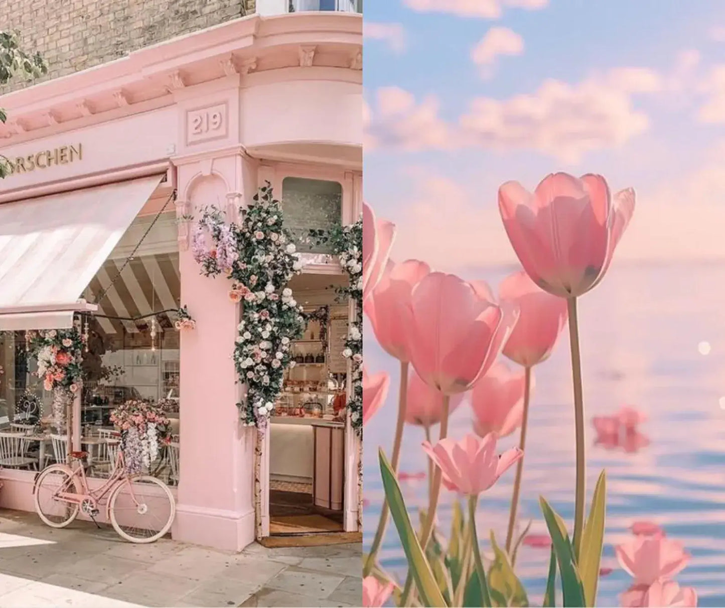 335+ Pink Aesthetic Photos, 800 Pink Coquette Reels & 100 Templates | PLR + MRR
