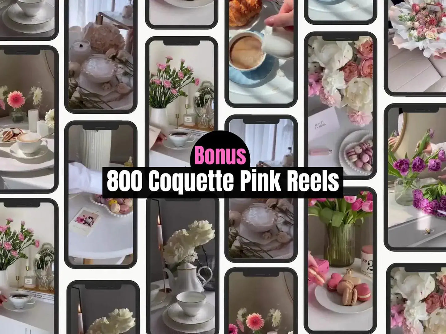 335+ Pink Aesthetic Photos, 800 Pink Coquette Reels & 100 Templates | PLR + MRR