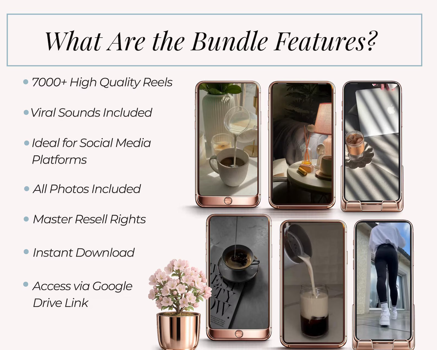 7,000+ Faceless Reels Bundle | Viral Instagram & TikTok Content Pack | PLR + MRR Included