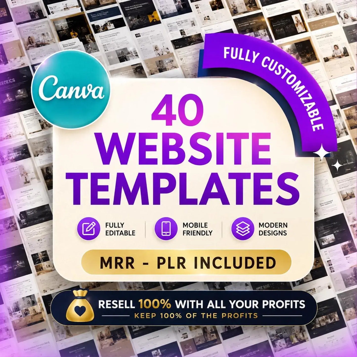 40 PLR Canva Website Template Bundle