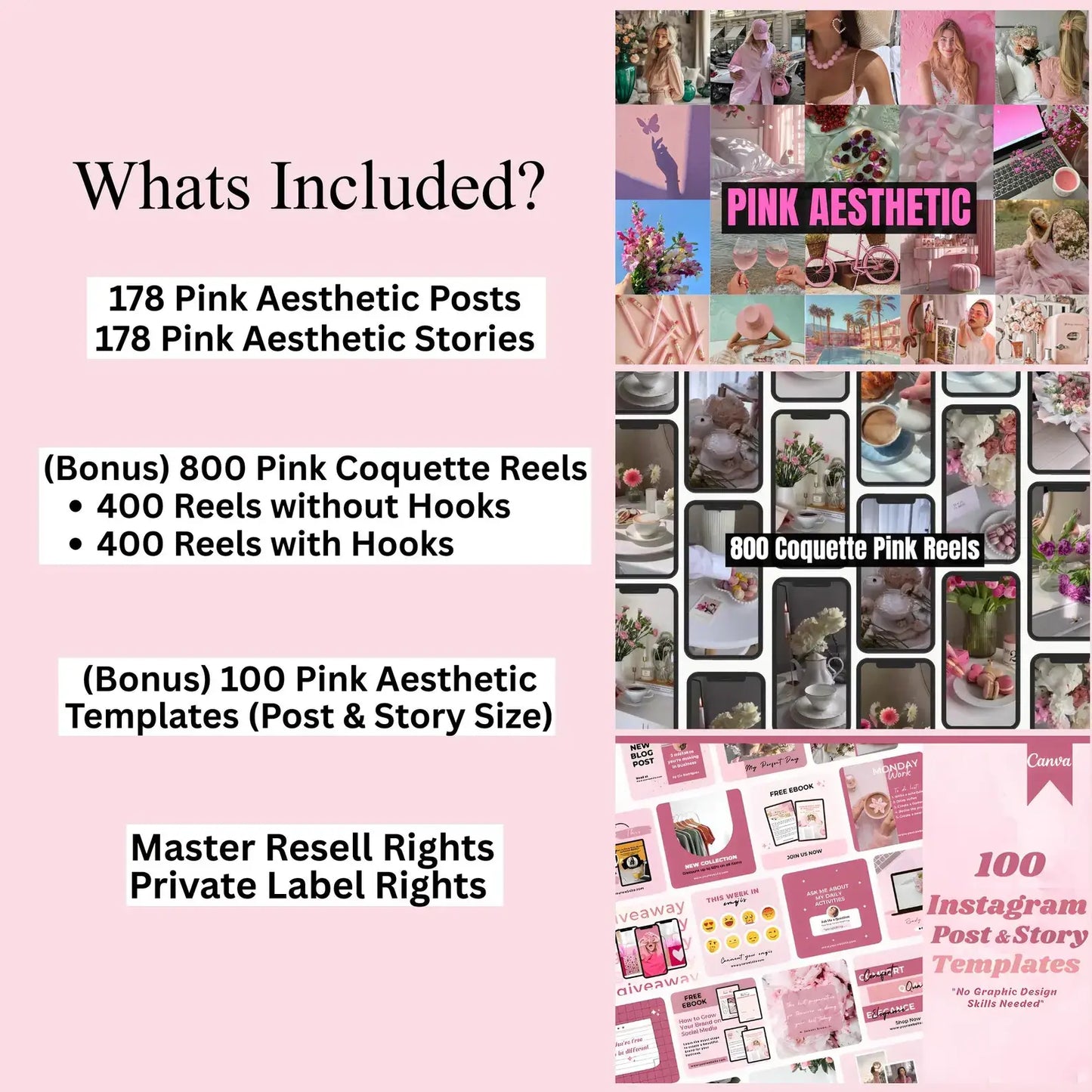 335+ Pink Aesthetic Photos, 800 Pink Coquette Reels & 100 Templates | PLR + MRR